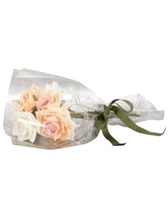 PAPEL REGALO COLIBRI 60x15 TRANSPARENTE