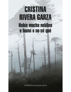 Habia mucha neblina o humo o no se que