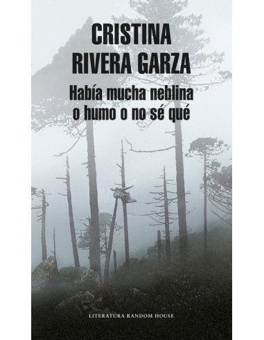 Habia mucha neblina o humo o no se que