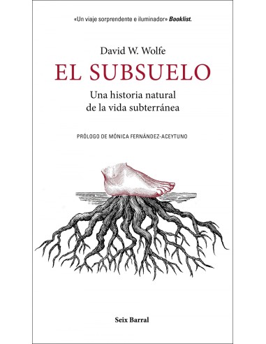 El subsuelo