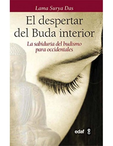 El despertar del Buda interior