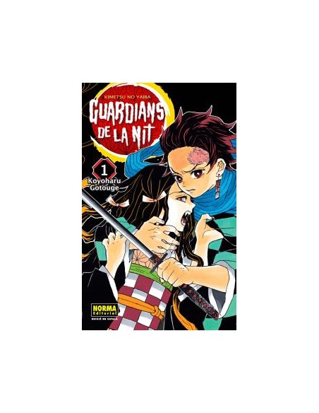 GUARDIANS DE LA NIT 01 CATALA NUEVA EDICION