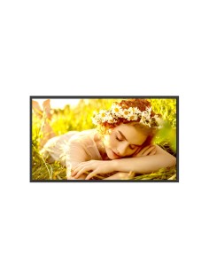 32UL5Q-M pantalla de señalización Pantalla plana para señalización digital 81,3 cm (32") LCD Wifi 500 cd / m² 4K Ultra HD Negro 