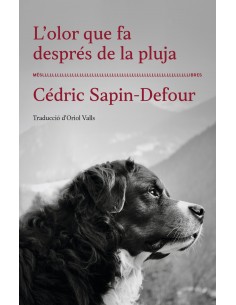 Lolor que fa moll de pluja