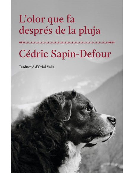 Lolor que fa moll de pluja