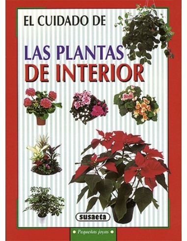 Las plantas de interior