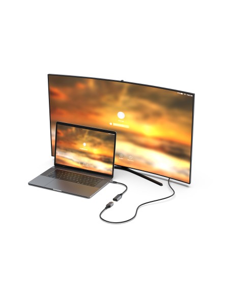 133493 adaptador de cable de vídeo 0,15 m USB Tipo C DisplayPort Negro, Gris