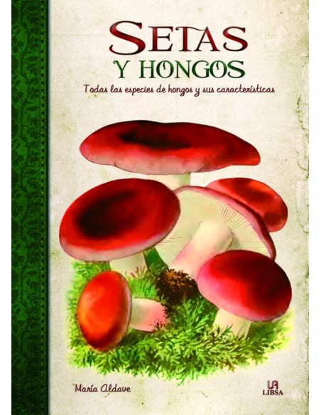 Setas y hongos