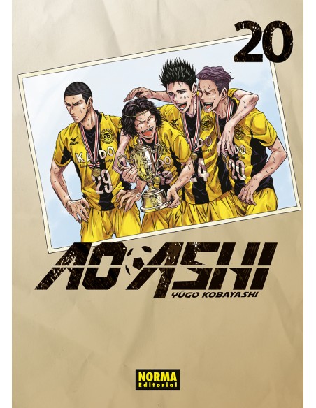 AO ASHI 20