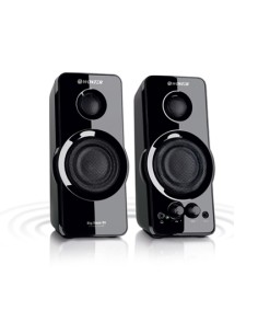 Big Bass 95 De 2 vías Negro Alámbrico 20 W