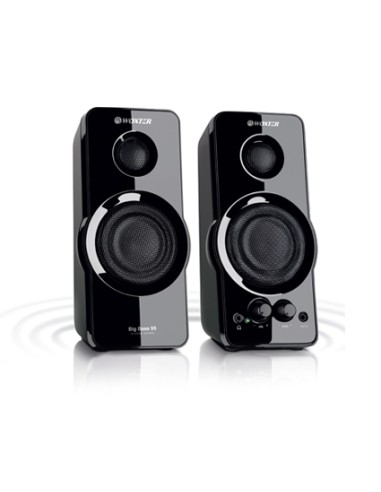 Big Bass 95 De 2 vías Negro Alámbrico 20 W
