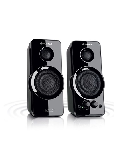 Big Bass 95 De 2 vías Negro Alámbrico 20 W
