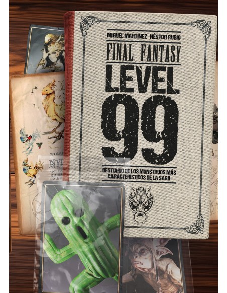 FINAL FANTASY LEVEL 99