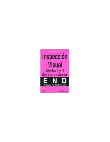END inspeccion visual