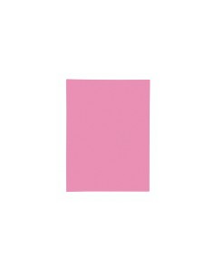 348003E carpeta Rosa A4