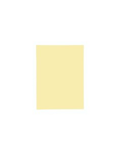 348005E carpeta Amarillo A4