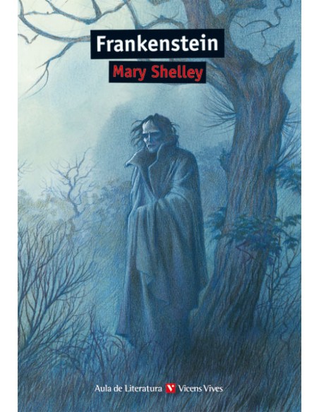 Frankenstein Aula De Literatura