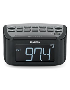 RCR-24 radio Portátil Digital Negro