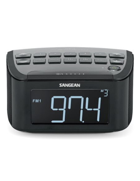 RCR-24 radio Portátil Digital Negro