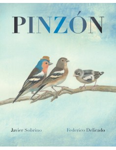 Pinzon