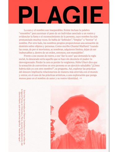 Plagie Copie Manipule Robe Reescriba este libro