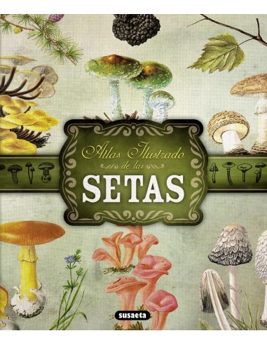 Atlas ilustrado de setas