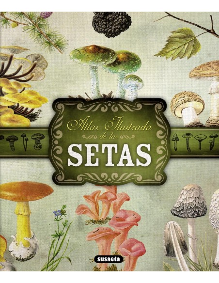 Atlas ilustrado de setas