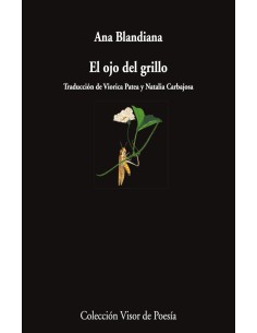 EL ojo del grillo