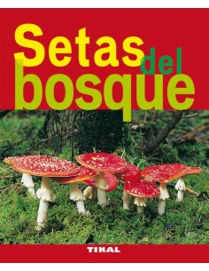 Setas del bosque