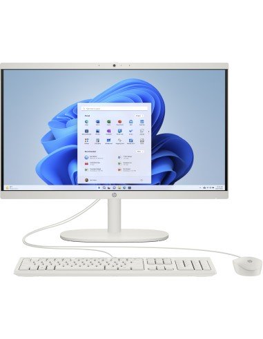 22 -dg0025ns Intel® Celeron® N100 54,5 cm (21.4") 1920 x 1080 Pixeles PC todo en uno 8 GB DDR5-SDRAM 256 GB SSD Windows 11 Home 