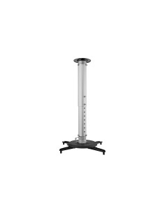CM00G3 montaje para projector Techo Negro, Acero inoxidable