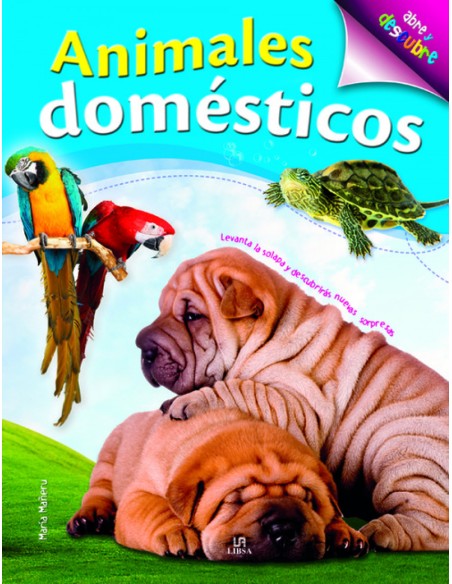 Animales domesticos