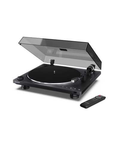 RP-TT100 tocadisco Tocadiscos de tracción por correa Negro Automático