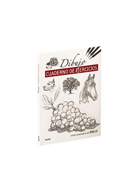 Guia completa de dibujo Dibujo ejercicios