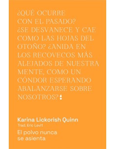 El polvo nunca se asienta