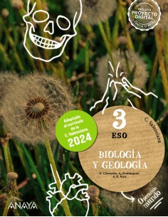 Lingua 4 Primaria Anaya Digital