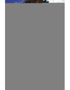 JUJUTSU KAISEN 19 CATALA