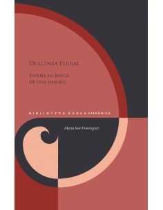 Dulcinea plural espana en busca de una imagen