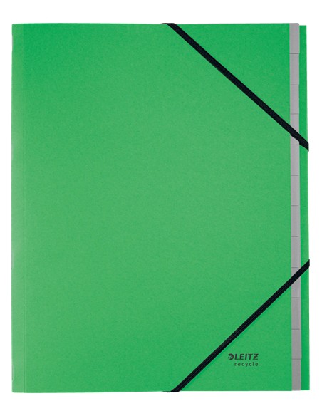 39150055 divisor Cartón Verde 1 pieza(s)