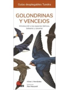 Golondrinas y vencejos