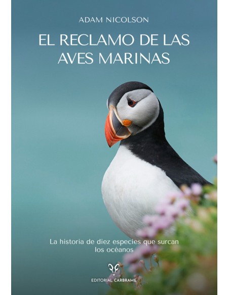 El reclamo de las aves marinas