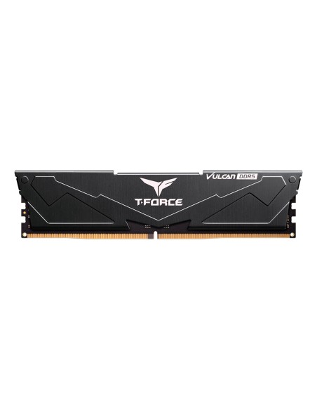 FLBD516G6000HC38A01 módulo de memoria 16 GB 1 x 16 GB DDR5 288-pin DIMM ECC