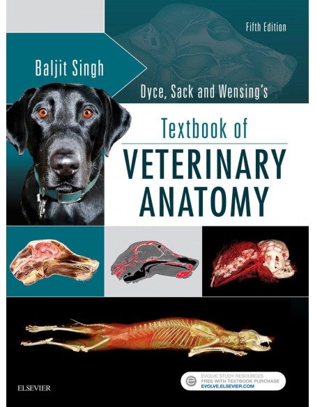 Dyce Sack and Wensing s Textbook of Veterinary Anatomy