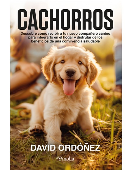 CACHORROS
