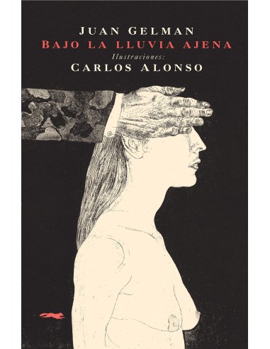 Bajo la lluvia ajena bolsillo 