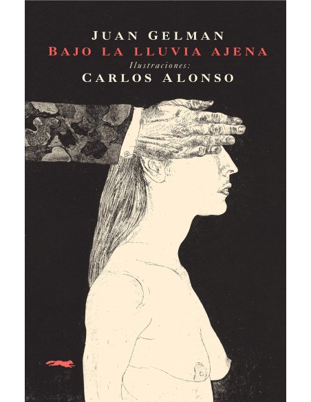 Bajo la lluvia ajena bolsillo 