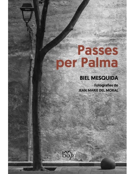 Passes per Palma