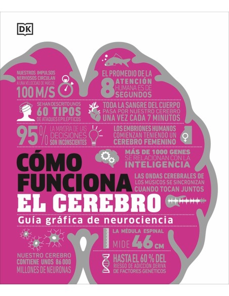 Como funciona el cerebro