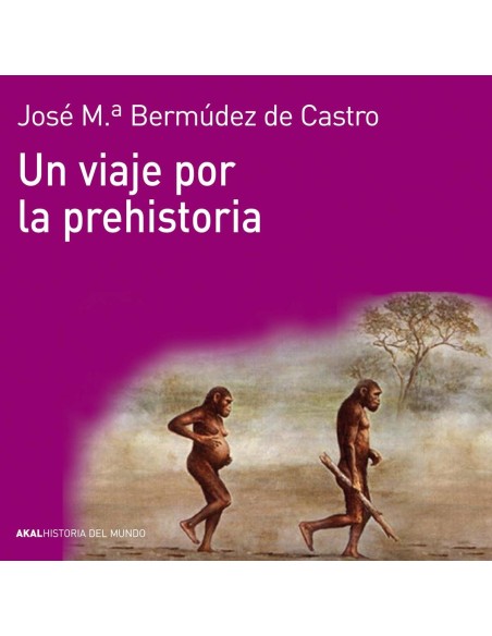 Viaje por la prehistoria