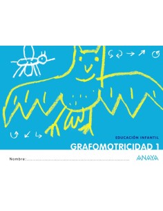 GRAFOMOTRICIDAD 13 ANOSQUE IDEA